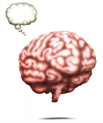 BrainCP1-scaled