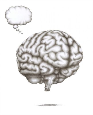 BrainP1-scaled