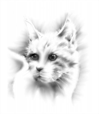 CatBWP1-scaled