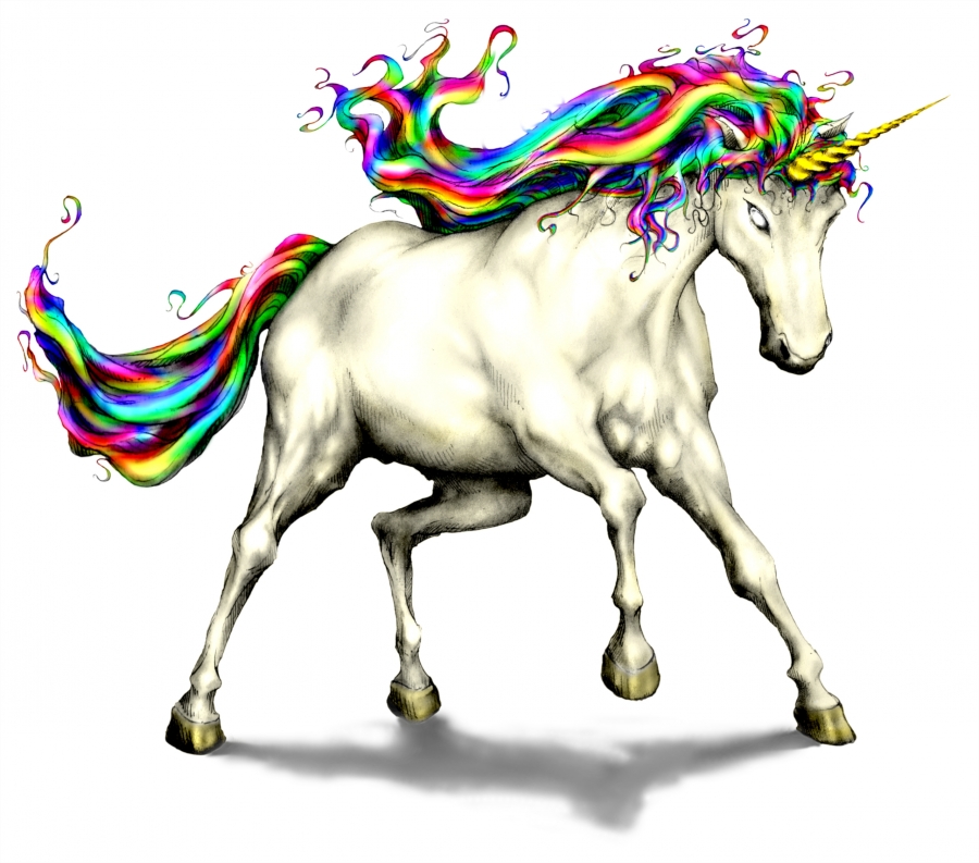 Rainbow-Unicorn