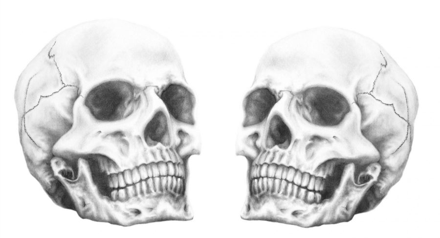 SkullsBWP1-scaled