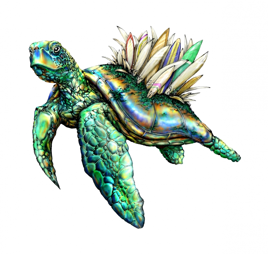 Turtle-surf-city-colourUP