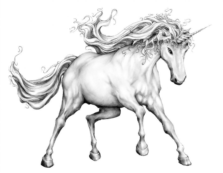 Unicorn1BWP-scaled